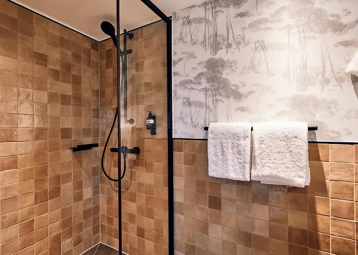 Hotel Viva - Ein Haus Brunnen Baut 3*